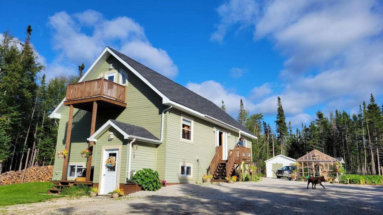 Upper Humber Settlement A Farmstay B&B Cormack ภายนอก รูปภาพ