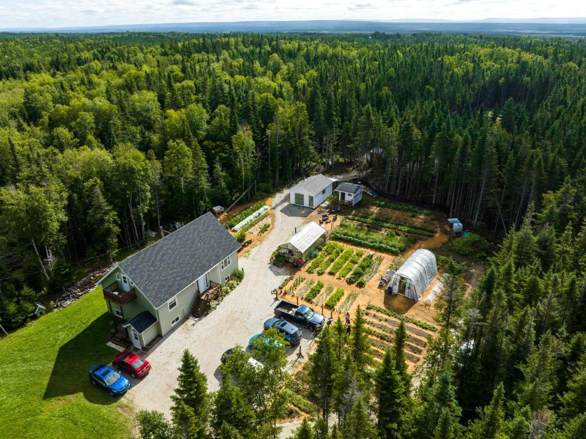 Upper Humber Settlement A Farmstay B&B Cormack ภายนอก รูปภาพ