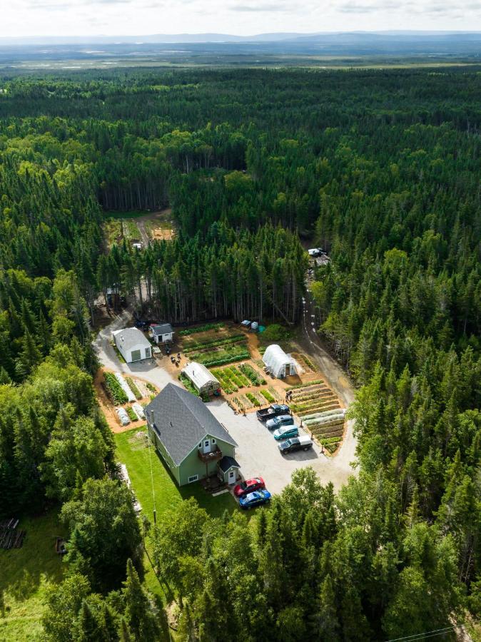 Upper Humber Settlement A Farmstay B&B Cormack ภายนอก รูปภาพ