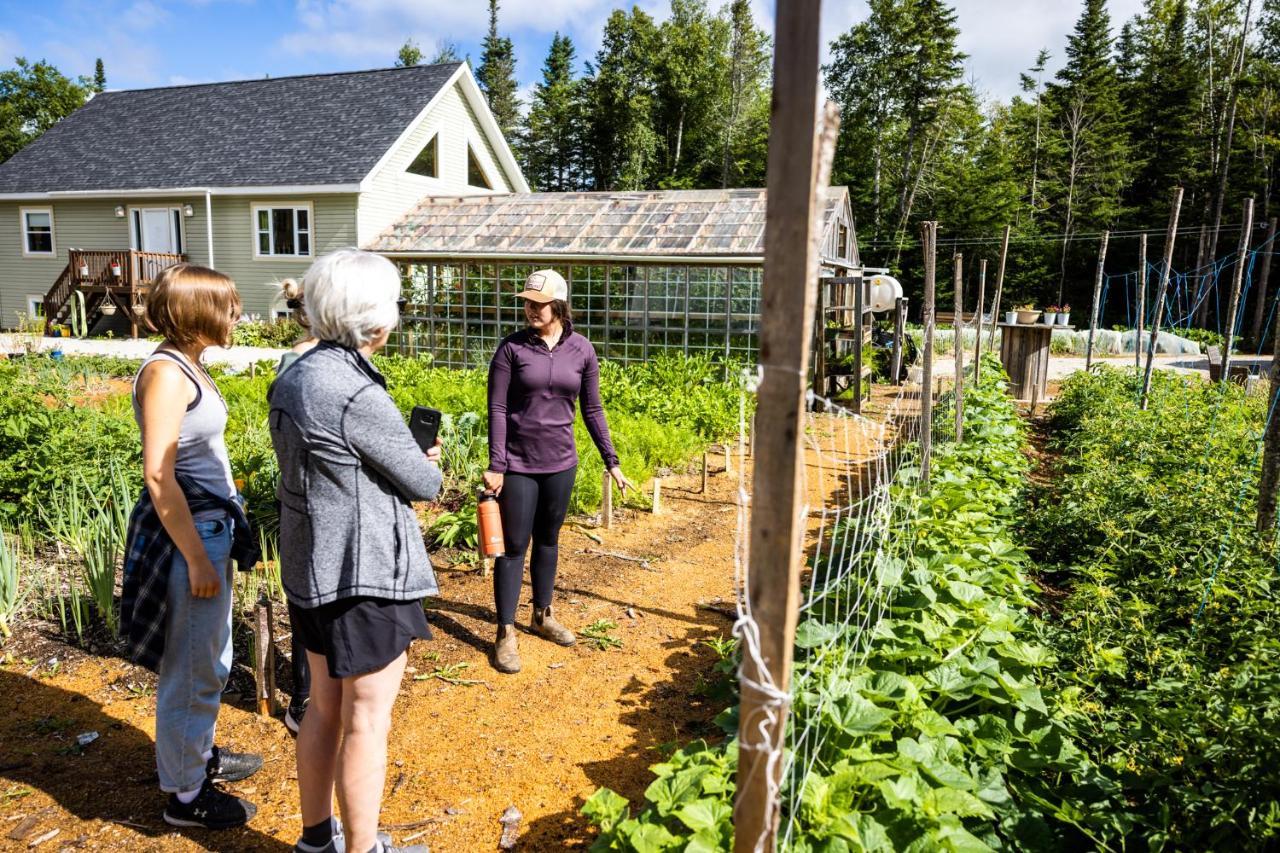 Upper Humber Settlement A Farmstay B&B Cormack ภายนอก รูปภาพ