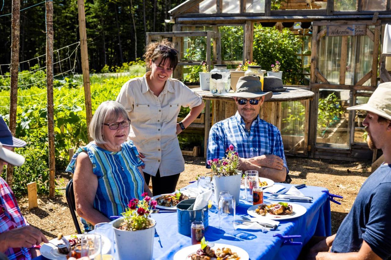 Upper Humber Settlement A Farmstay B&B Cormack ภายนอก รูปภาพ